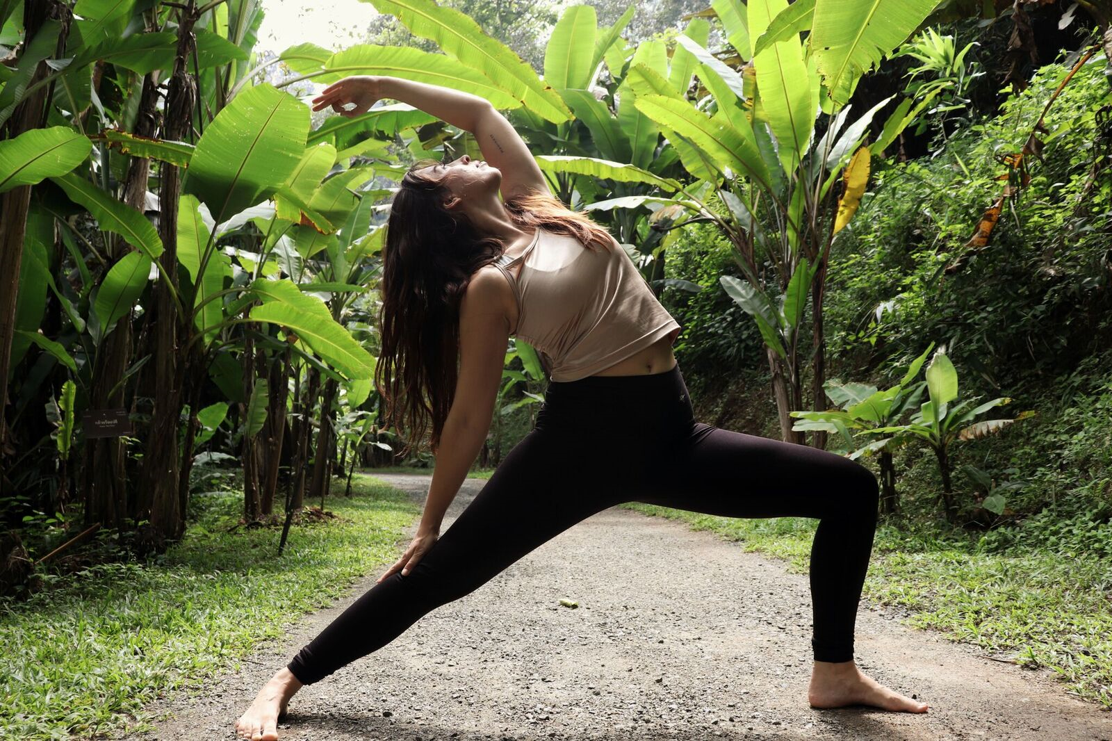 What is Yoga?